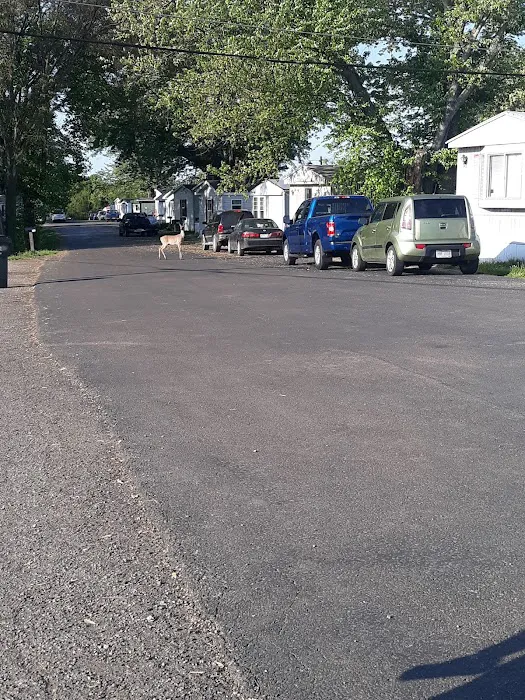 Greenlawn Estates Picture 9