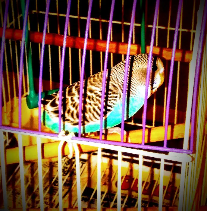 Greenlawn Estates Picture 1