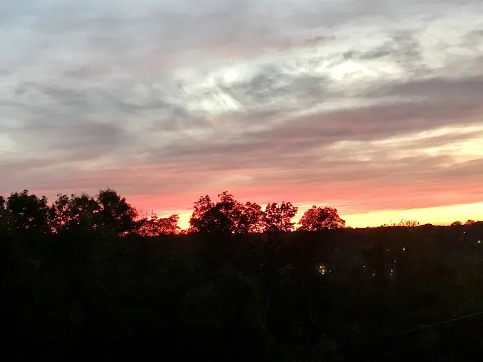 Wolfie's Family Campground and RV Resort Picture 5