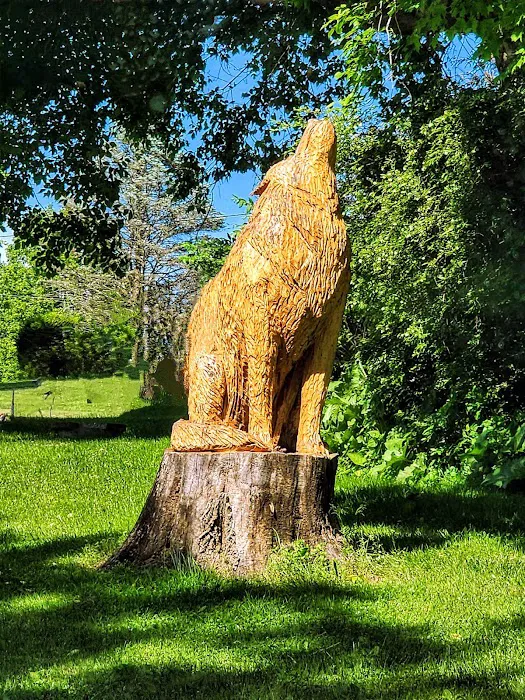 Wolfie's Family Campground and RV Resort Picture 8