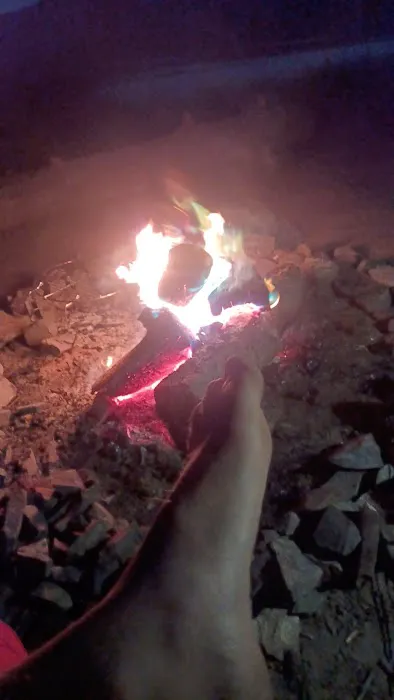 Yarnell Island Campground Picture 4