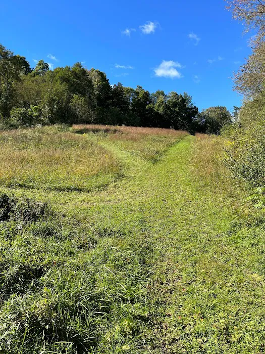 Sunny Glen Farms LLC RV Park Picture 4
