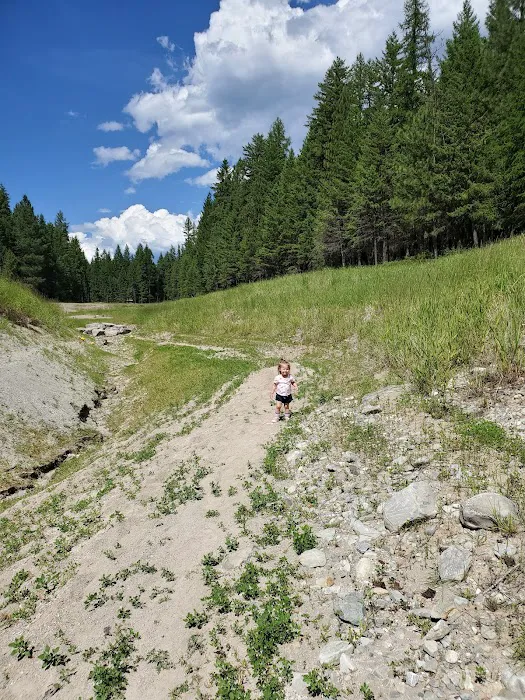 McGillivray Campground Picture 7