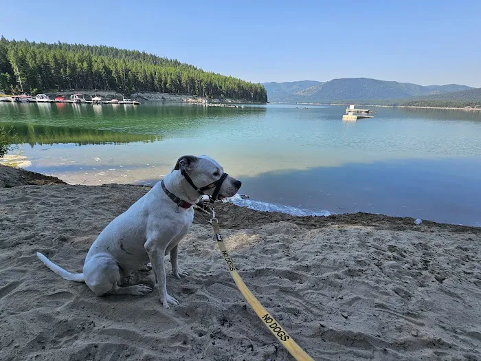 Koocanusa Resort & Marina Picture 4