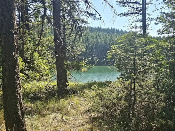 Koocanusa Resort & Marina Picture 10