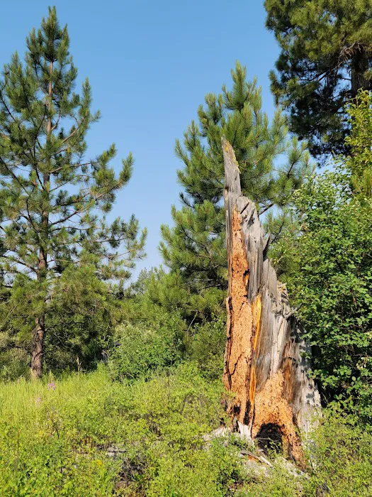 Pleasant Valley Campground Picture 5