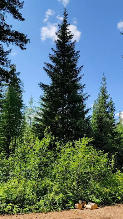 Pleasant Valley Campground Picture 2