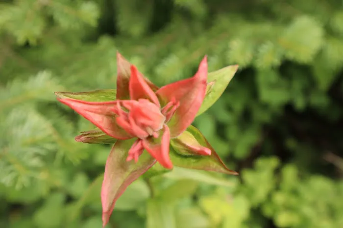 Pleasant Valley Campground Picture 1