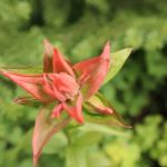 Pleasant Valley Campground