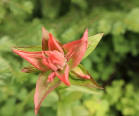 Pleasant Valley Campground