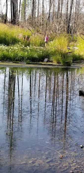 Sylvan Lake Campground Picture 1