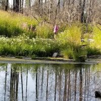 Sylvan Lake Campground ico