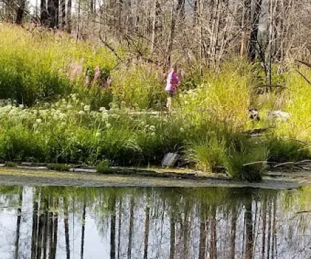 Sylvan Lake Campground