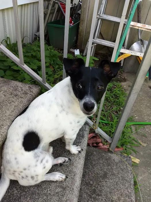 Summit Ridge Estates Picture 6