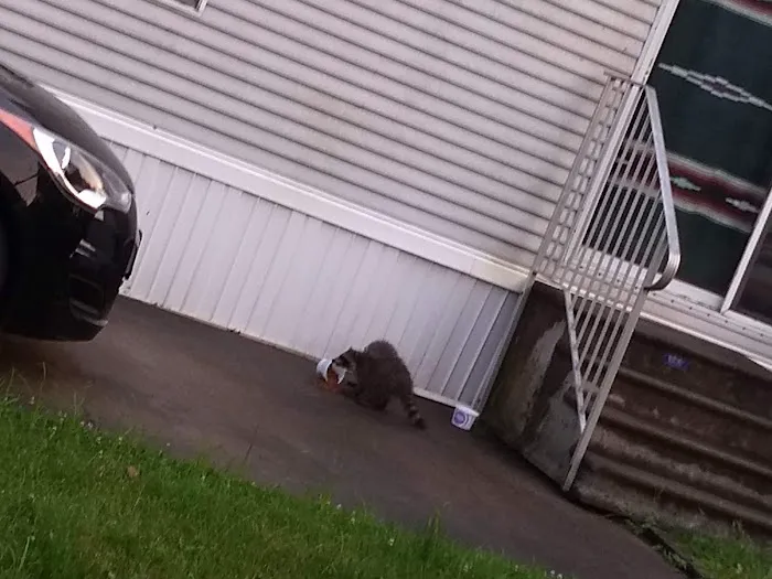 Summit Ridge Estates Picture 10