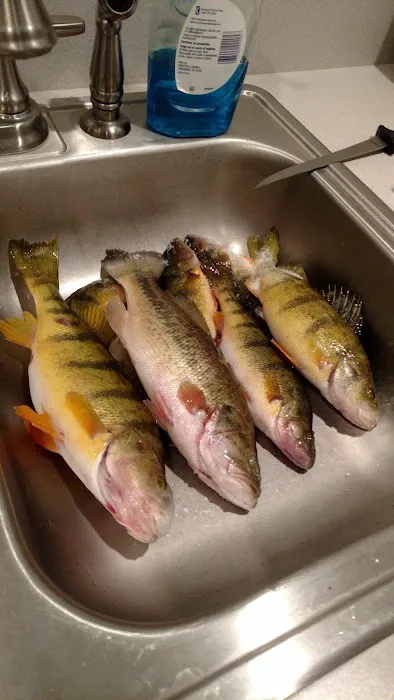 Upper Thompson Lake Campground Picture 2