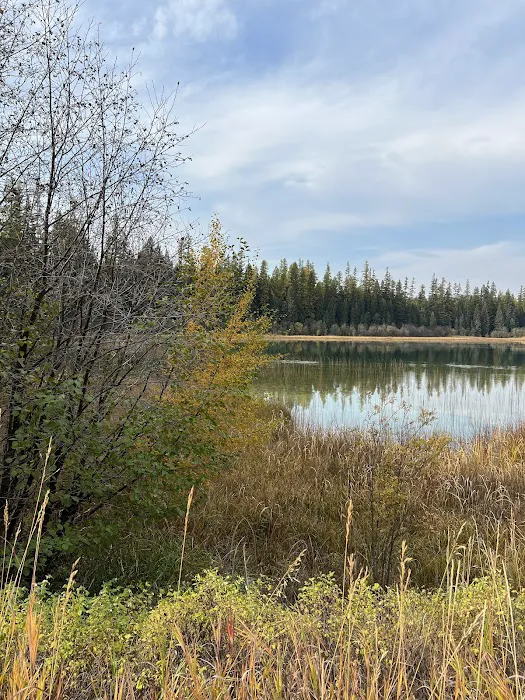 Upper Thompson Lake Campground Picture 8