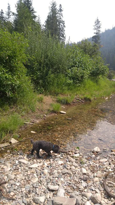 Turner Flat Campground Picture 6