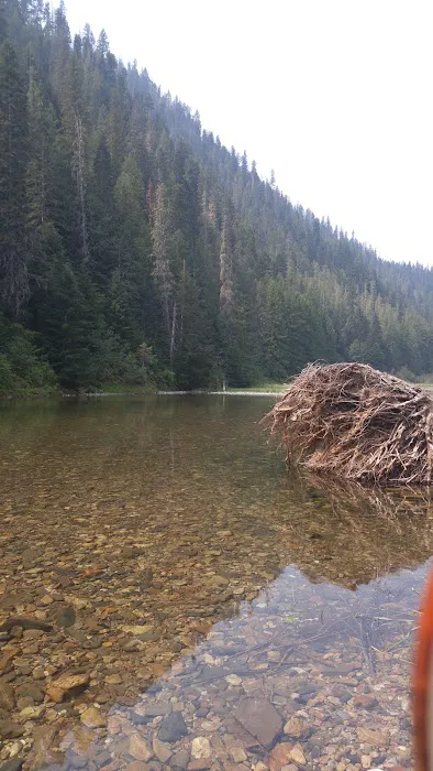 Turner Flat Campground Picture 4