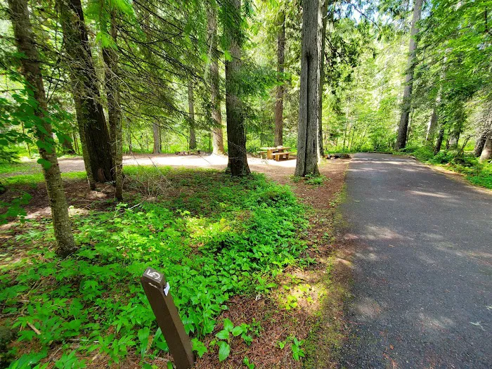 Tin Can Flat Campground Picture 4