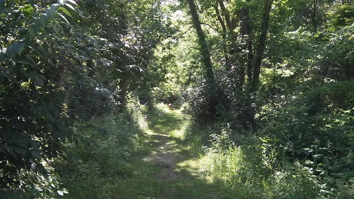 Reynoldsburg Estates Mobile Home Community & Sales Picture 7