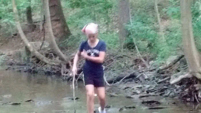 Reynoldsburg Estates Mobile Home Community & Sales Picture 6