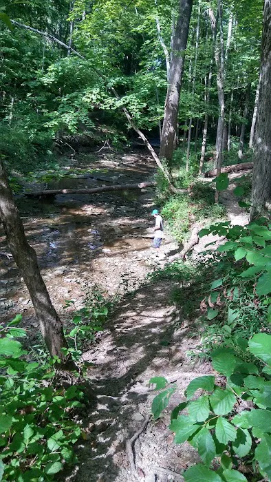 Reynoldsburg Estates Mobile Home Community & Sales Picture 8