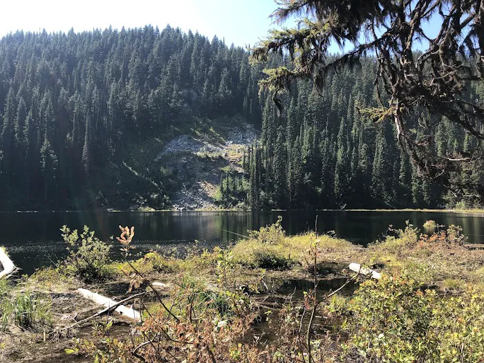 Mammoth Springs Campground Picture 5