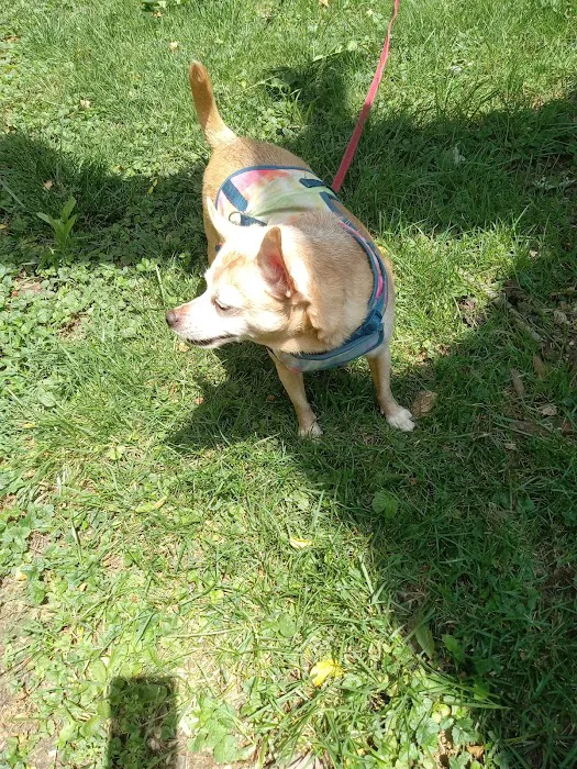 DB Development LLC Picture 6