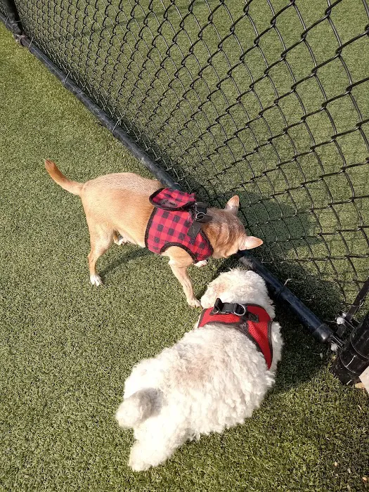 DB Development LLC Picture 7