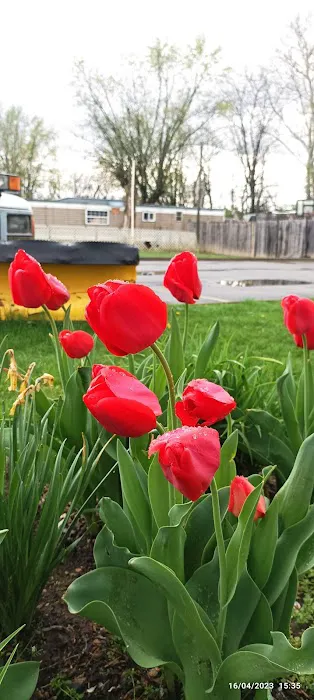 DB Development LLC Picture 4