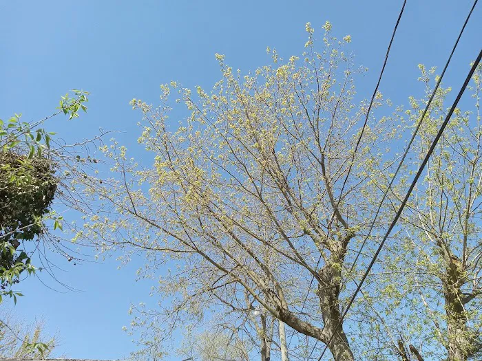 DB Development LLC Picture 5