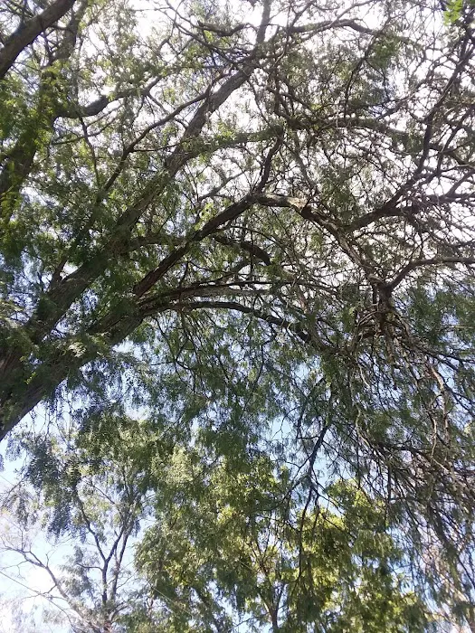 Anchor Mobile Home Park Picture 6