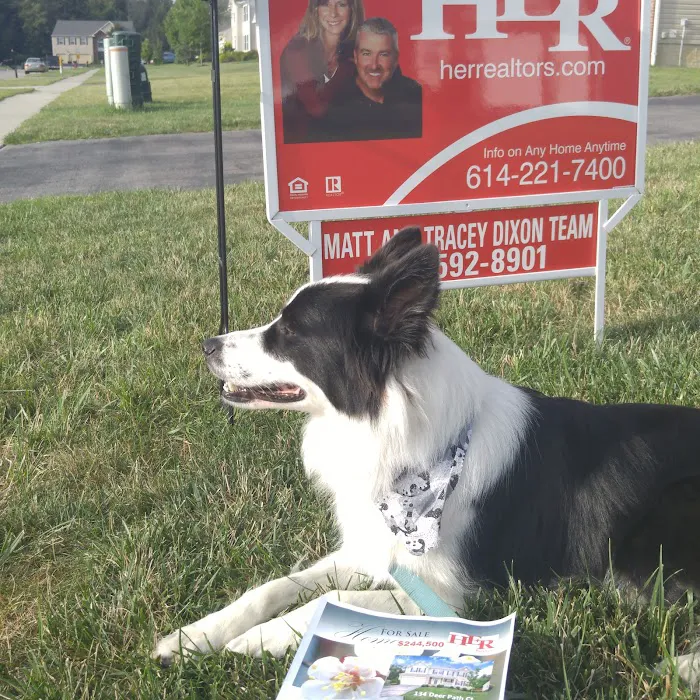 Willowbrook Terrace Picture 10