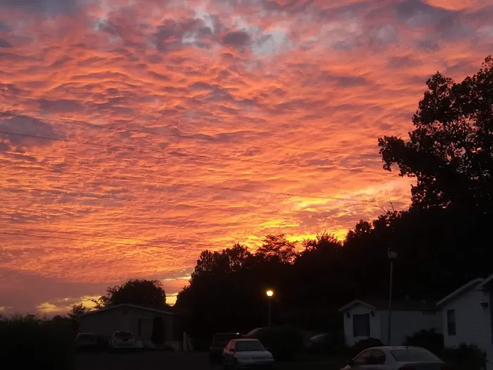 Willowbrook Terrace Picture 2