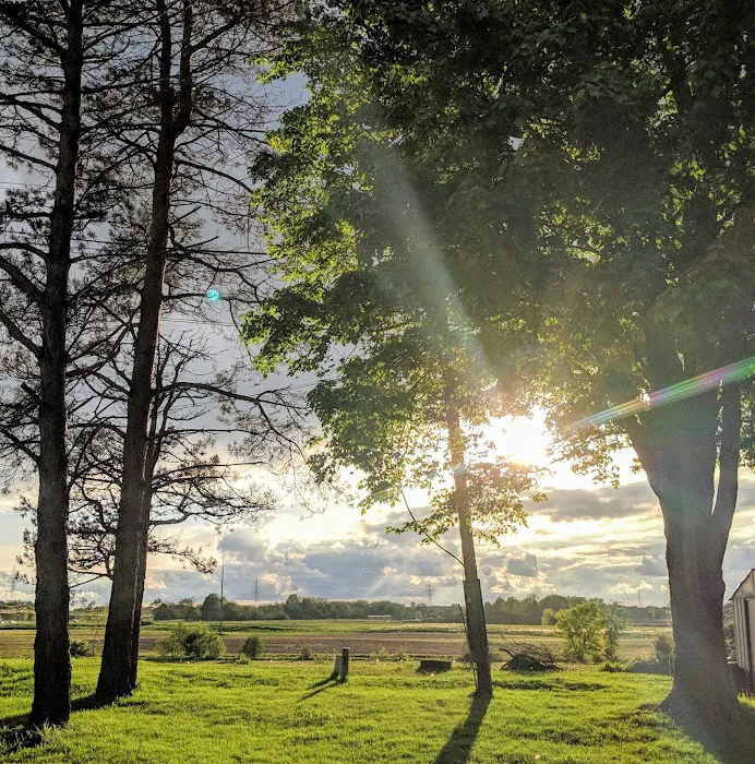 Willowbrook Terrace Picture 8