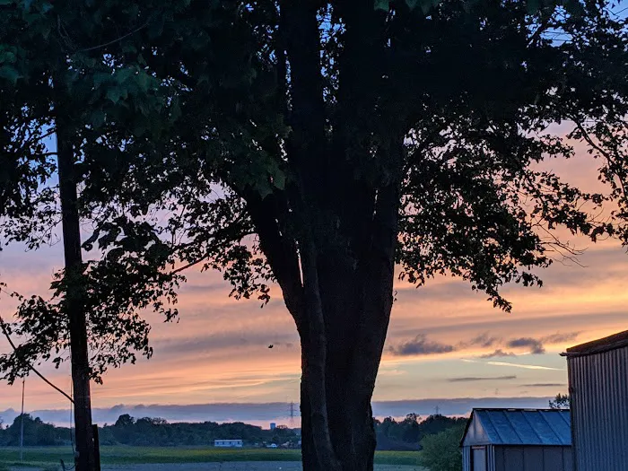 Willowbrook Terrace Picture 4