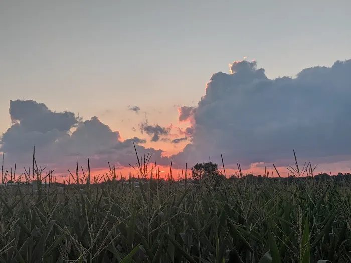 Willowbrook Terrace Picture 6