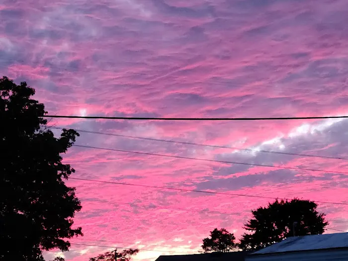 Willowbrook Terrace Picture 7