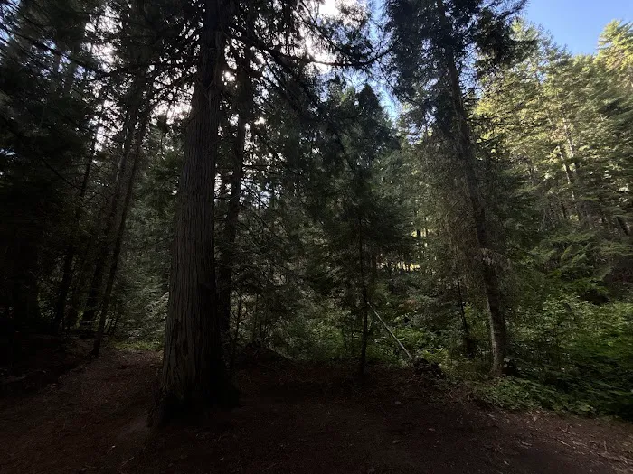 Deer Creek Campground Picture 3