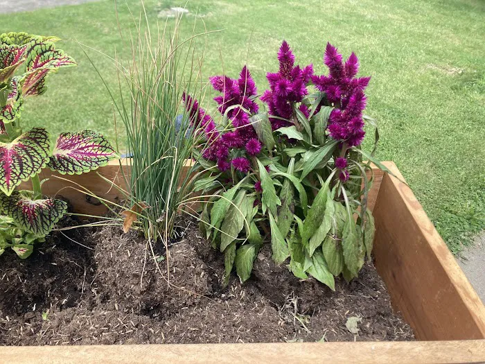 Southwind Villa Mobile Home Park Picture 1