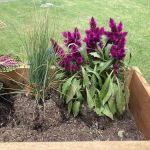 Southwind Villa Mobile Home Park