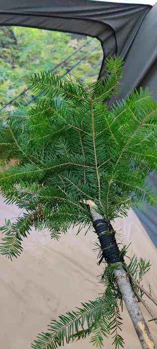 Conrad Crossing Campground Picture 2