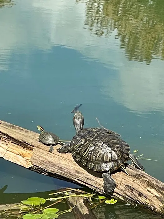 Hopewell Mobile Home Park Picture 1