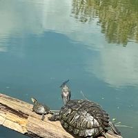 Hopewell Mobile Home Park ico