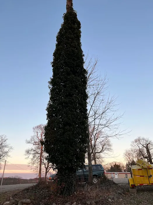 Hopewell Mobile Home Park Picture 3