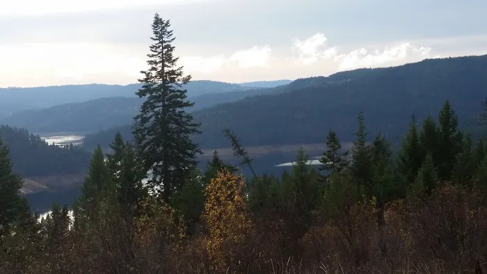 Freeman Creek Campground Picture 3