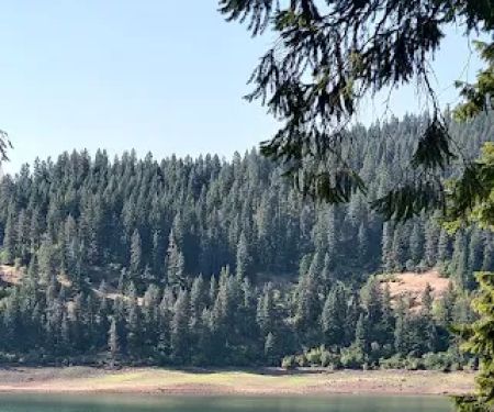 Canyon Creek Campground