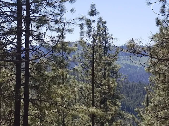 Dam View Campground Picture 3