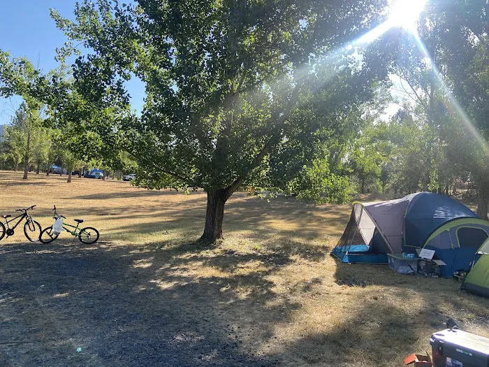 Dworshak Reservoir Grandad Campground Picture 7